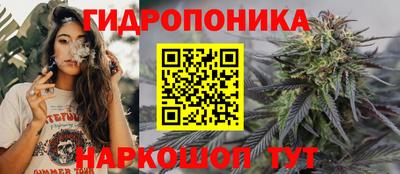 крисы Ливны
