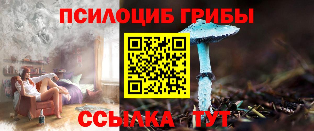 Галлюциногенные грибы Magic Shrooms Жигулёвск